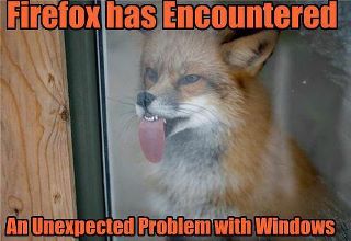 Firefox%20has%20a%20problem%20with%20Windows.jpg