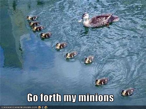 funny-pictures-duck-has-minions.jpg