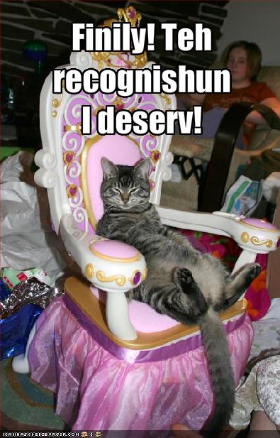funny-pictures-princess-cat-is-finally-being-recognized.jpg