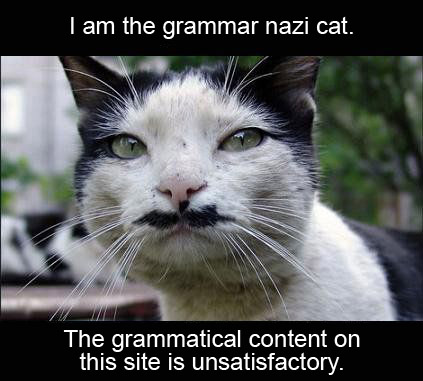 Grammar Nazi Cat.jpg