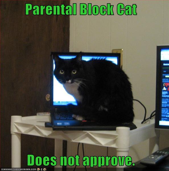 lolcat-funny-picture-parental-block-cat.jpg