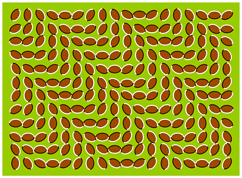 optical-illusion.gif